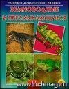 Земноводные и пресмыкающиеся. Наглядно-дидактическое пособие