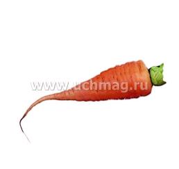 Вершки и корешки. Игры на узнавание, нахождение пар, группировку и обобщение предметов: 24 красочные карточки  со стихами и загадками, описание развивающих игр — интернет-магазин УчМаг