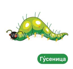 Мои первые слова. 12 развивающих карточек с картинками зеленого цвета, стихами, загадками, рисунками для речевых, познавательных, изобразительных занятий с — интернет-магазин УчМаг